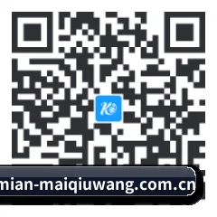 APP 安卓 二维码